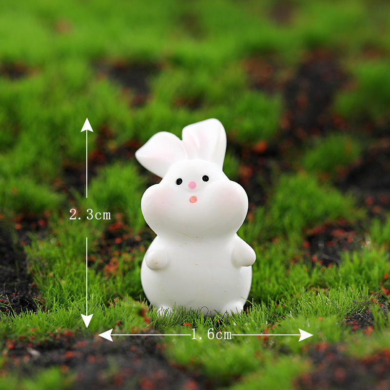 Transport radishes on the 12th