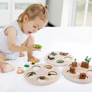 Science and Education Cognitive Toys 0.4 Simulation Insect Animal Plant Model Life Growth Cycle Young Children Teaching Aids