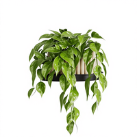 Lot de 3 grands pots suspendus modernes et étagères de fenêtre pour usage intérieur/extérieur au sol