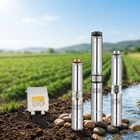 Pompe à eau submersible haute pression en acier inoxydable pour puits, pompe à eau pour puits profonds pour projets d'irrigation agricole