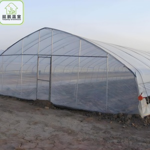 <span class=keywords><strong>Invernadero</strong></span> Túnel de Gran Tamaño Económico con Estructura de Acero Galvanizado y Lámina de PE para Cultivo de Plantas - Product Image 5