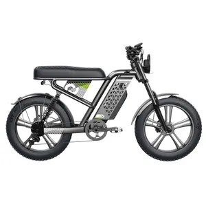 20インチfatebike 48v750wのファミリーカーゴバイク電動マウンテンバイク取り外し可能なリチウム電池電動バイク自転車