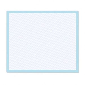 Tapis absorbant imperméable pour chiot, coussin pour animaux de compagnie, couche pour chien, tapis d'apprentissage de la propreté pour chien, fournitures pour animaux de compagnie - Product Image 2