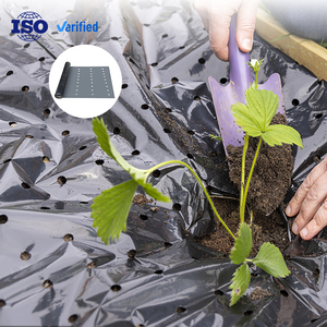 Đen phản chiếu <span class=keywords><strong>PE</strong></span> mulch phim nông nghiệp được thực hiện bởi <span class=keywords><strong>PE</strong></span> phim <span class=keywords><strong>UV</strong></span> che phủ mặt đất nhựa mulch phim - Product Image 1