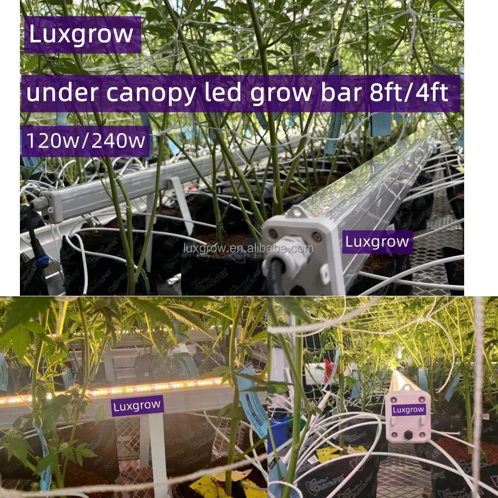 Luxgrow longitud personalizada 4/8 pies de largo cadena de margaritas conectar Triproof impermeable corison prueba debajo del dosel LED crece la luz para la floración