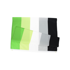 <span class=keywords><strong>LGBTQIA</strong></span>ธงโพลีเอสเตอร์3x5ftหุ้นที่กำหนดเองAromanticความภาคภูมิใจโรแมนติก - Product Image 2