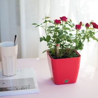 BRICE Pot de Fleurs Carré Décoratif Moderne à Réserve d'Eau pour Toutes les Plantes d'Intérieur, Fleurs et Herbes