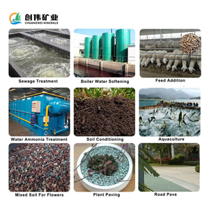 Vente en gros <span class=keywords><strong>de</strong></span> poudre <span class=keywords><strong>de</strong></span> zéolite verte Fabricants <span class=keywords><strong>de</strong></span> plantes Pavage Mélange <span class=keywords><strong>de</strong></span> sol Traitement <span class=keywords><strong>de</strong></span> <span class=keywords><strong>l</strong></span>'<span class=keywords><strong>eau</strong></span> d'aquaculture Alimentation en minéraux non métalliques - Product Image 4