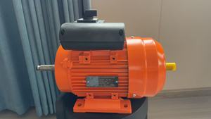 Motore Elettrico Monofase <span class=keywords><strong>a</strong></span> Induzione con Doppio Condensatore <span class=keywords><strong>da</strong></span> 0,55KW 0,75KW 1,1KW per Pompa <span class=keywords><strong>a</strong></span> Vuoto - Product Image 2