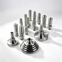 Komponen Presisi Khusus dari Baja Tahan Karat yang Dibuat dengan Mesin CNC, Pemesinan Aluminium, Komponen Logam Kecil, 5 Axis OEM