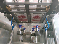 Machine d'emballage de sac préfabriqué personnalisée de bonne qualité Machine d'emballage de sac de glace KXS-270S Doypack Machines à sceller Ningbo 1800