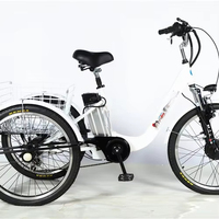 Tricycle cargo électrique adulte à 3 roues, 48V 350W, moteur sans balais, frein à disque, cadre en acier, 24 pouces, vente en gros