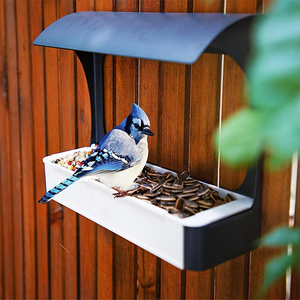 Jh-mech <span class=keywords><strong>Bird</strong></span> <span class=keywords><strong>Feeder</strong></span> đơn giản bán mở Băng gắn điều chỉnh chiều cao kim loại và cửa sổ PVC <span class=keywords><strong>Bird</strong></span> <span class=keywords><strong>Feeder</strong></span> cho bên ngoài - Product Image 6