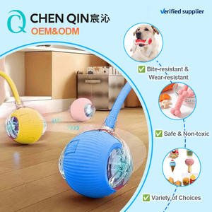 2026 C&Q OEM Produttori Cinesi Giocattoli Interattivi Automatici per Animali Domestici in PU Elastico a Forma di Coda di Topo per Addestramento Intelligente di Cani e Gatti - Product Image 1