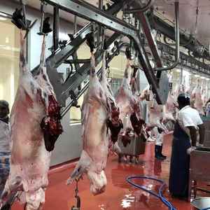 Machinerie d'abattage de moutons entièrement automatisée et motorisée pour <span class=keywords><strong>abattoir</strong></span> de moutons et usine de découpe de viande - Product Image 6