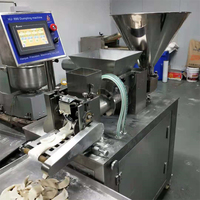 Hirigin — Machine de cuisson professionnelle, ravioli, pour Restaurant et hôtel