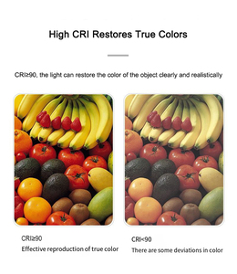 แถบไฟ LED แบบโค้งงอได้12V 24V 5มม. 8มม. 10มม. 384 320 528 480led /<span class=keywords><strong>m</strong></span> - Product Image 4