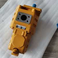 Pompa Gigi Ganda CBGj3100 1010-XF 4120001058 untuk Suku Cadang Wheel Loader LG936 LG956 Cina Hubei Garansi 3 Bulan