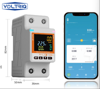 VOLTRIQ usine 63A TUYA compteur de synchronisation protection contre les surcharges tension WiFi télécommande sans fil interrupteur de disjoncteur intelligent