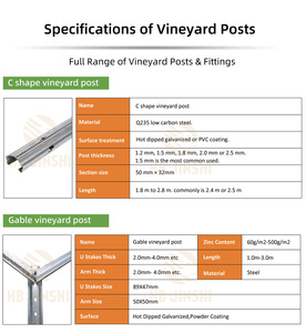 Palo per Vigneto in Metallo Quadrato/Rettangolare, Traliccio a Y, Traliccio a Capanna Aperta, Palo Zincato per Viti per Supporto Piante in Vigneto - Product Image 6