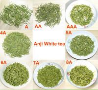 Thé vert Mingqian de haute montagne de Chine, de Huzhou Anji, de qualité supérieure, cueilli à la main, en vrac