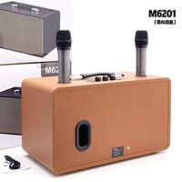 Système de sonorisation AI Voice Intelligence M6201 60W avec caisson de basses, enceinte karaoké avec 2 micros sans fil pour la maison, le karaoké et les fêtes