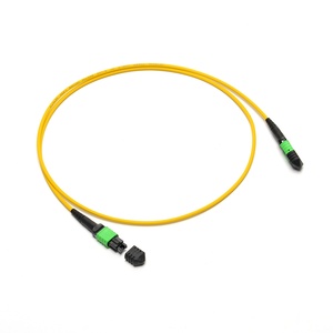 Usine professionnelle prix SM G652D 8 Cores1M optique de câble optique de fiber de MPO/cordon de raccordement MPO - Product Image 2