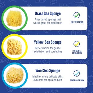 Emballage personnalisé éponge de mousse de mer en laine d'herbe douce 100% éponge de bain biodégradable pour bébé éponge de mer jaune naturelle - Product Image 2