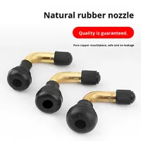 Vacuum Tire Inflator Model QZ-105 for Motorcycle/Electric Car/Electric Bike with Tubeless Valve Rubber Anti-Leak Design