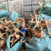 En trend 2025 doğal Driftwood dekoratif toptan için su tankı akvaryum dekorasyon için Driftwood