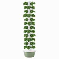 Tour aéroponique à 12 étages pour l'agriculture verticale, système de culture hydroponique pour légumes, tour aéroponique d'intérieur avec tiges métalliques
