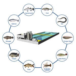100 500m ³/H Racewegtank Ras Recirculerende Aquacultuurapparatuur Arowana Viskwekerij Aquariumsystemen - Product Image 1