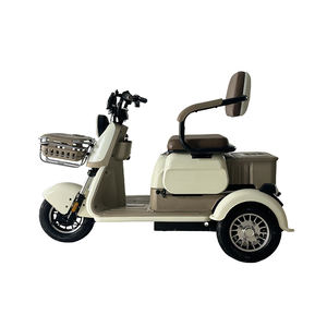 สไตล์สกูตเตอร์ไฟฟ้า3ล้อพร้อมตะกร้าและที่นั่งเด็กสกูตเตอร์ไฟฟ้า48V/60V 500W 600W 800W - Product Image 4