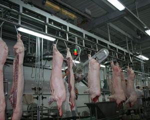 Equipo <span class=keywords><strong>de</strong></span> Carnicería Profesional, Diseño Horizontal, Riel Transportador Automático para Carcasas <span class=keywords><strong>de</strong></span> Cerdo, Máquina <span class=keywords><strong>de</strong></span> Sacrificio <span class=keywords><strong>de</strong></span> <span class=keywords><strong>Cerdos</strong></span> para Mataderos - Product Image 5