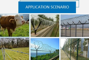 <span class=keywords><strong>Fil</strong></span> <span class=keywords><strong>barbelé</strong></span> en promotion au prix du rouleau / <span class=keywords><strong>Fil</strong></span> <span class=keywords><strong>barbelé</strong></span> galvanisé pour clôture agricole, prix usine, fabricant, <span class=keywords><strong>fil</strong></span> <span class=keywords><strong>de</strong></span> <span class=keywords><strong>fer</strong></span> simple à lames rasoir - Product Image 5