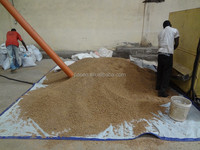 Ligne de production d'aliments pour poissons flottants/affleurants, incluant broyeur, mélangeur, extrudeuse, sécheuse, pulvérisateur d'huile