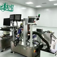 Marqueur laser double haute précision avec rejet automatique pour l'atelier d'emballage de bouteilles