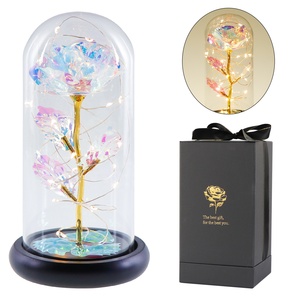 OurWarm 2021 Forever Galaxy Rose con luz LED Dia De La Madre Regalos para el día de la madre Pedido mínimo 50 piezas - Product Image 2