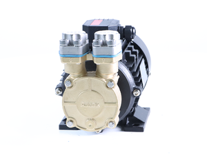 Bomba de Transferencia de Aceite Caliente Aulank WD-20N con 1 Año de Garantía - Product Image 1