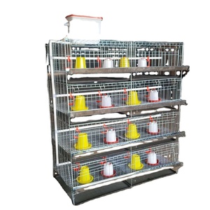 Jaula de pollo pequeña para bebé, gallinas de cría, tipo H, galvanizada, caliente - Product Image 1