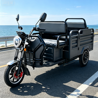 Tricycle électrique EEC pour passagers et marchandises, capacité de chargement, vitesse maximale 40 km/h, trike électrique pour courtes distances