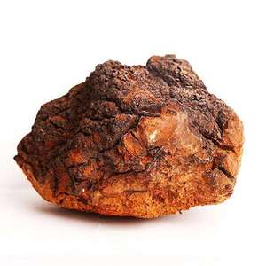 Orgabnic <span class=keywords><strong>bai</strong></span> <span class=keywords><strong>Hua</strong></span> <span class=keywords><strong>rong</strong></span> Chất lượng cao thảo dược khô toàn bộ Chaga Nấm - Product Image 1