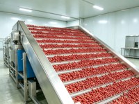 Multi-tier SS304 gaasbanddroogmachine voor voedsel, snacks en dierenvoer, continue droger