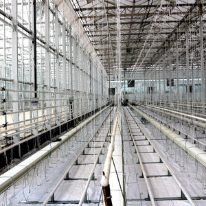 Construção de Estufas / Estufa Agrícola Inteligente Multi-span de Vidro Barata, Estufa Hidropônica - Product Image 6