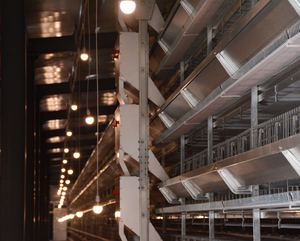 H Loại Gà Lớp Lồng Gia Cầm Thiết Bị Tự Động Gà Lớp Pin Lồng Cho Bán Trong Trang Trại - Product Image 5