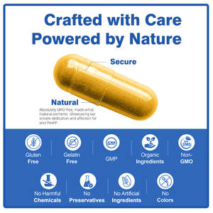 แคปซูลเคอร์ซิตินซิงค์เอลเดอร์เบอร์รี่สูตรธรรมชาติสำหรับผู้ใหญ่เพิ่มระบบภูมิคุ้มกันสารต้านอนุมูลอิสระเพื่อสุขภาพโดยรวม - Product Image 4