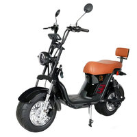 Moto électrique de tourisme haute performance 1200W 60V avec pneus larges, vitesse maximale de 40-60 km/h