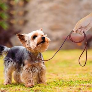 Venta al por mayor de cuero genuino enrollado perro Correa antideslizante entrenamiento caminar P cadena Show Collar plomo - Product Image 2