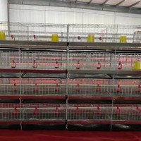 Années d'expérience dans l'équipement d'élevage avicole et l'agriculture pour l'élevage commercial avec une conception durable