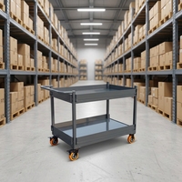 Carro de Acero Industrial de Alta Resistencia CASE CARTER OEM de 2 Niveles con Ruedas Giratorias de Cuatro Ruedas y Frenos, Apilable hasta 4 Niveles